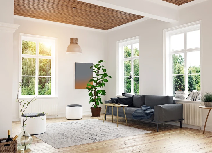 design moderne et scandinave du salon